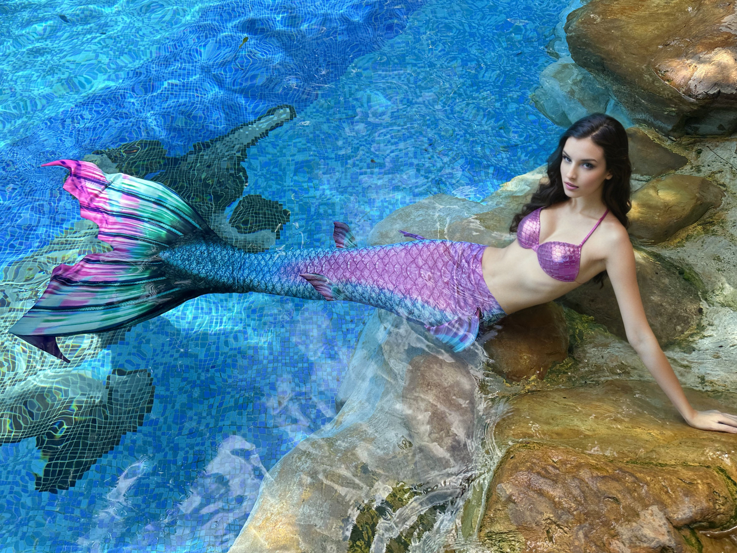 Mermaid Tails for Swimming for Adult & Teen Sizes（YQ84）NO Monifin